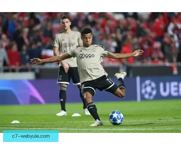 意媒：内雷斯或将手术伤停数周