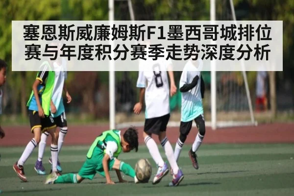 塞恩斯威廉姆斯F1墨西哥城排位赛与年度积分赛季走势深度分析