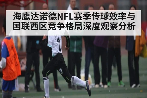 海鹰达诺德NFL赛季传球效率与国联西区竞争格局深度观察分析